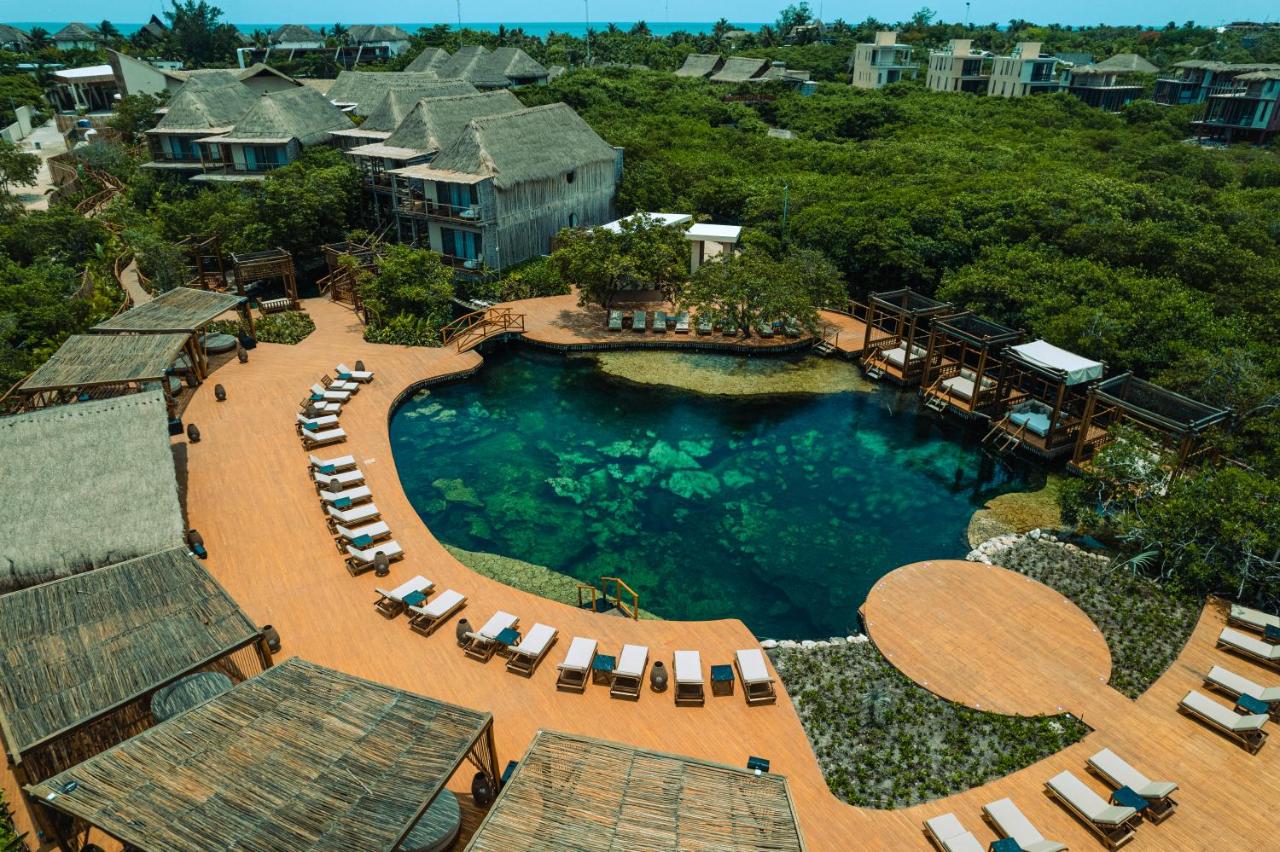Hotel Shibari - Restaurant Cenote Club